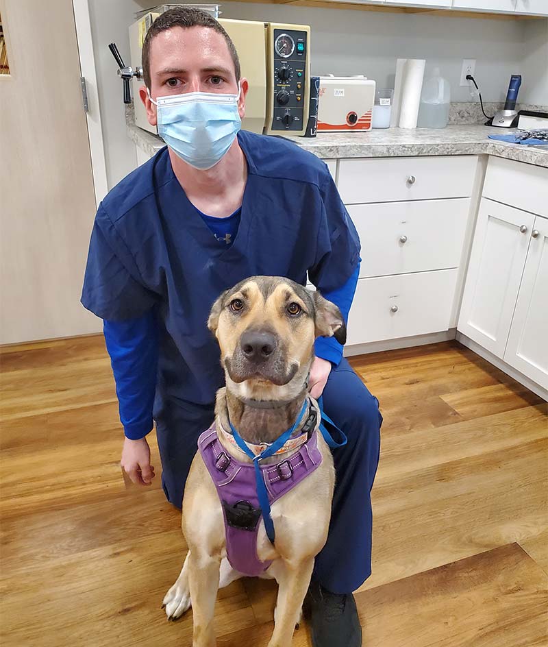 Veterinary Jobs in MA | Middleboro Veterinary Careers